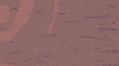 Lüks hareket tasarımı üst düzey video projeleri ve dijital sanat için zarif, pürüzsüz bir dokusu var.