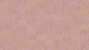 Organik desenli yüzey giriş stili video film sanatı ile soyut arkaplan tasarımı