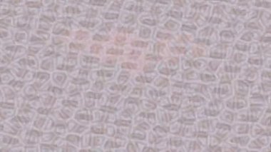 Benzersiz dijital hareket grafiklerine sahip yaratıcı sinematik projeler için yumuşak animasyon yüzeyi