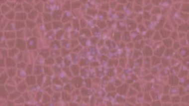 Lüks hareket projeleri için soyut tasarım stili animasyonu olan üst düzey dijital doku