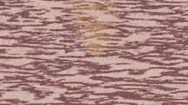 Dijital doku yüzey tasarım biçimi ile modern video animasyonu için gelişmiş hareket grafikleri