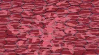 Yaratıcı video düzenleme film tasarımı için benzersiz hareket grafikleri biçimi giriş hareketi video pro