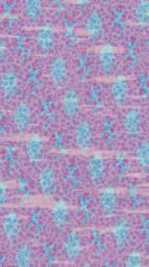 Lüks hareket tasarımı üst düzey video projeleri ve dijital sanat için zarif, pürüzsüz bir dokusu var.