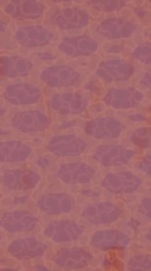 Yaratıcı video düzenleme film tasarımı için benzersiz hareket grafikleri biçimi giriş hareketi video pro