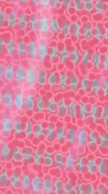 Yaratıcı video düzenleme film arkaplan tasarımı için minimalist organik hareket grafikleri