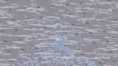 Yaratıcı video düzenleme film tasarımı için benzersiz hareket grafikleri biçimi giriş hareketi video pro