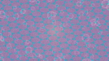 Yaratıcı video düzenleme film arkaplan tasarımı için minimalist organik hareket grafikleri