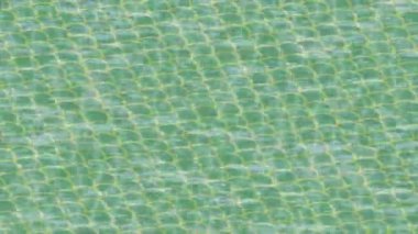 Organik desenli yüzey giriş stili video film sanatı ile soyut arkaplan tasarımı