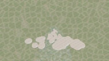 Benzersiz dijital hareket grafiklerine sahip yaratıcı sinematik projeler için yumuşak animasyon yüzeyi