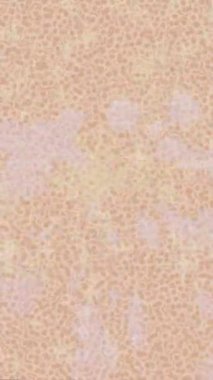 Benzersiz video giriş tasarımı projeleri için detaylı yüzey kalıbı film animasyon stili grafik girişi