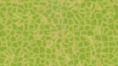 Organik desenli yüzey giriş stili video film sanatı ile soyut arkaplan tasarımı