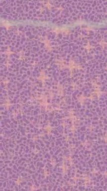 Estetik doku arkaplan tasarımı renkli hareket grafikleri ile moda film giriş profosyoneli