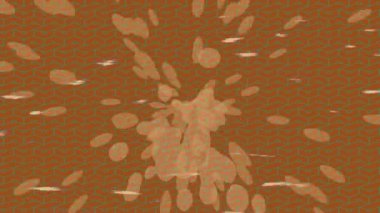 Dijital doku yüzey tasarım biçimi ile modern video animasyonu için gelişmiş hareket grafikleri