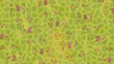 Soyut hareket desenli fütüristik video üretimi için dinamik dijital arkaplan