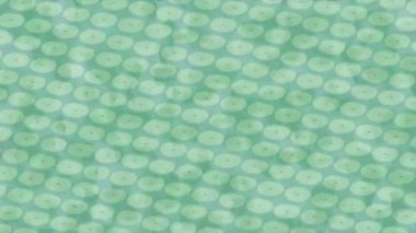 Yaratıcı video düzenleme film tasarımı için benzersiz hareket grafikleri biçimi giriş hareketi video pro