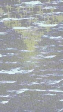 Yaratıcı video düzenleme film arkaplan tasarımı için minimalist organik hareket grafikleri