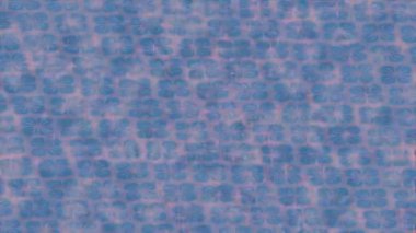 Benzersiz hareket dokusu tasarım sanatı ile profesyonel video düzenleme için modern soyut grafikler