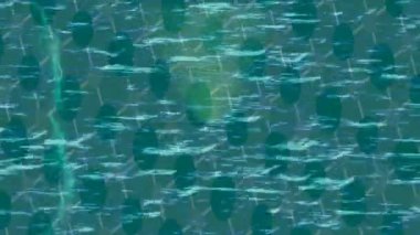 Benzersiz video giriş tasarımı projeleri için detaylı yüzey kalıbı film animasyon stili grafik girişi