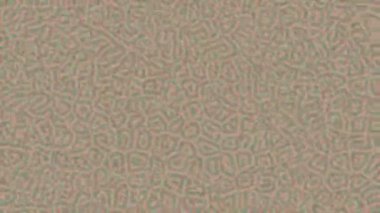 Estetik doku arkaplan tasarımı renkli hareket grafikleri ile moda film giriş profosyoneli