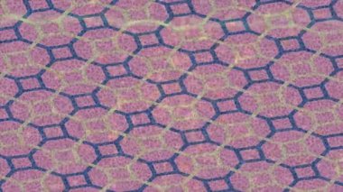 Benzersiz hareket dokusu tasarım sanatı ile profesyonel video düzenleme için modern soyut grafikler