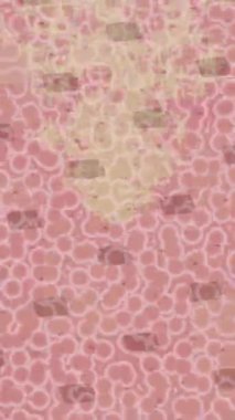 Benzersiz video giriş tasarımı projeleri için detaylı yüzey kalıbı film animasyon stili grafik girişi