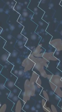 Yaratıcı video düzenleme film arkaplan tasarımı için minimalist organik hareket grafikleri