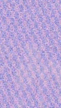 Dijital doku yüzey tasarım biçimi ile modern video animasyonu için gelişmiş hareket grafikleri