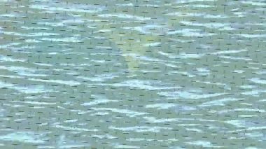 Organik desenli yüzey giriş stili video film sanatı ile soyut arkaplan tasarımı