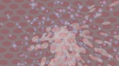 Benzersiz dijital hareket grafiklerine sahip yaratıcı sinematik projeler için yumuşak animasyon yüzeyi