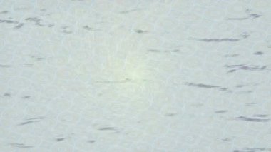 Profesyonel video projeleri sanat tarzı için organik hareketli arkaplan tasarımı