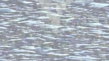 Organik desenli yüzey giriş stili video film sanatı ile soyut arkaplan tasarımı