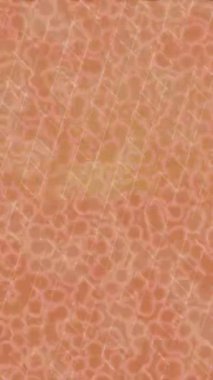 Benzersiz video giriş tasarımı projeleri için detaylı yüzey kalıbı film animasyon stili grafik girişi