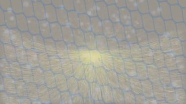 Benzersiz dijital animasyon tarzı grafikleri olan yaratıcı ortam tasarımı için yenilikçi hareket dokusu