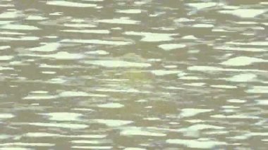 Benzersiz dijital animasyon tarzı grafikleri olan yaratıcı ortam tasarımı için yenilikçi hareket dokusu