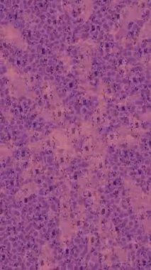 Organik desenli yüzey giriş stili video film sanatı ile soyut arkaplan tasarımı