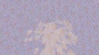 Benzersiz hareket dokusu tasarım sanatı ile profesyonel video düzenleme için modern soyut grafikler