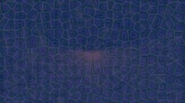 Benzersiz dijital animasyon tarzı grafikleri olan yaratıcı ortam tasarımı için yenilikçi hareket dokusu