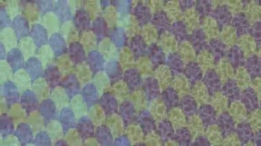 Benzersiz dijital animasyon tarzı grafikleri olan yaratıcı ortam tasarımı için yenilikçi hareket dokusu