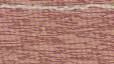 Yaratıcı video düzenleme film arkaplan tasarımı için minimalist organik hareket grafikleri