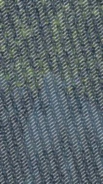 Lüks hareket tasarımı üst düzey video projeleri ve dijital sanat için zarif, pürüzsüz bir dokusu var.