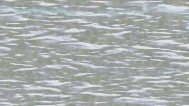 Benzersiz dijital animasyon tarzı grafikleri olan yaratıcı ortam tasarımı için yenilikçi hareket dokusu