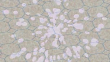 Dijital doku yüzey tasarım biçimi ile modern video animasyonu için gelişmiş hareket grafikleri