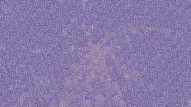 Estetik doku arkaplan tasarımı renkli hareket grafikleri ile moda film giriş profosyoneli