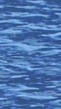 Profesyonel video projeleri sanat tarzı için organik hareketli arkaplan tasarımı