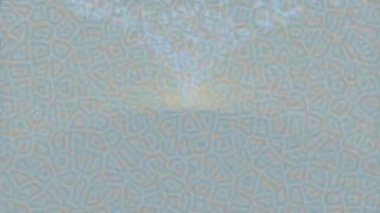 Soyut hareket desenli fütüristik video üretimi için dinamik dijital arkaplan