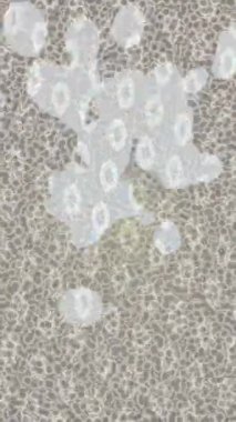 Benzersiz dijital animasyon tarzı grafikleri olan yaratıcı ortam tasarımı için yenilikçi hareket dokusu