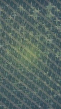 Dijital doku yüzey tasarım biçimi ile modern video animasyonu için gelişmiş hareket grafikleri