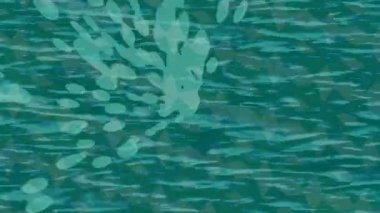 Benzersiz dijital hareket grafiklerine sahip yaratıcı sinematik projeler için yumuşak animasyon yüzeyi