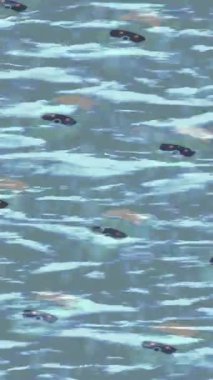 Lüks hareket tasarımı üst düzey video projeleri ve dijital sanat için zarif, pürüzsüz bir dokusu var.