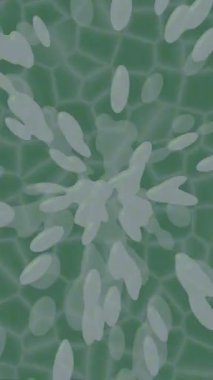 Benzersiz video giriş tasarımı projeleri için detaylı yüzey kalıbı film animasyon stili grafik girişi